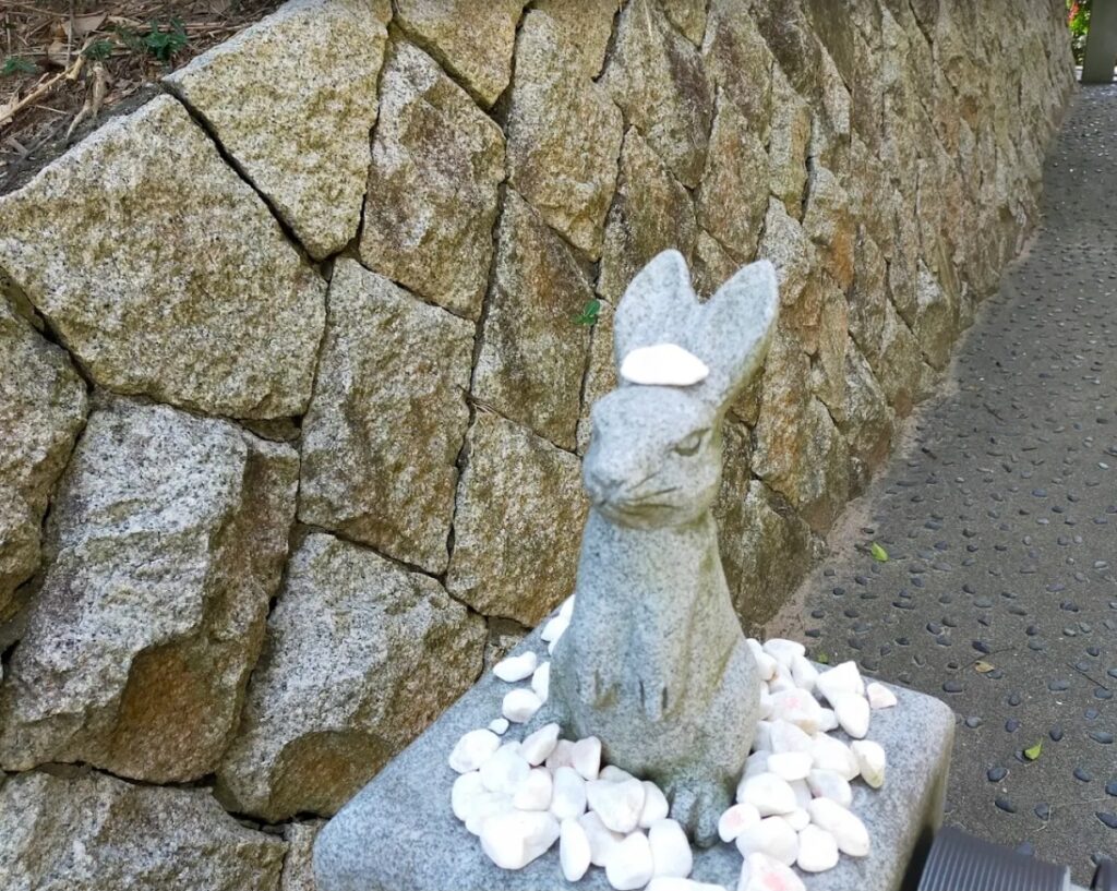 lapin blanc