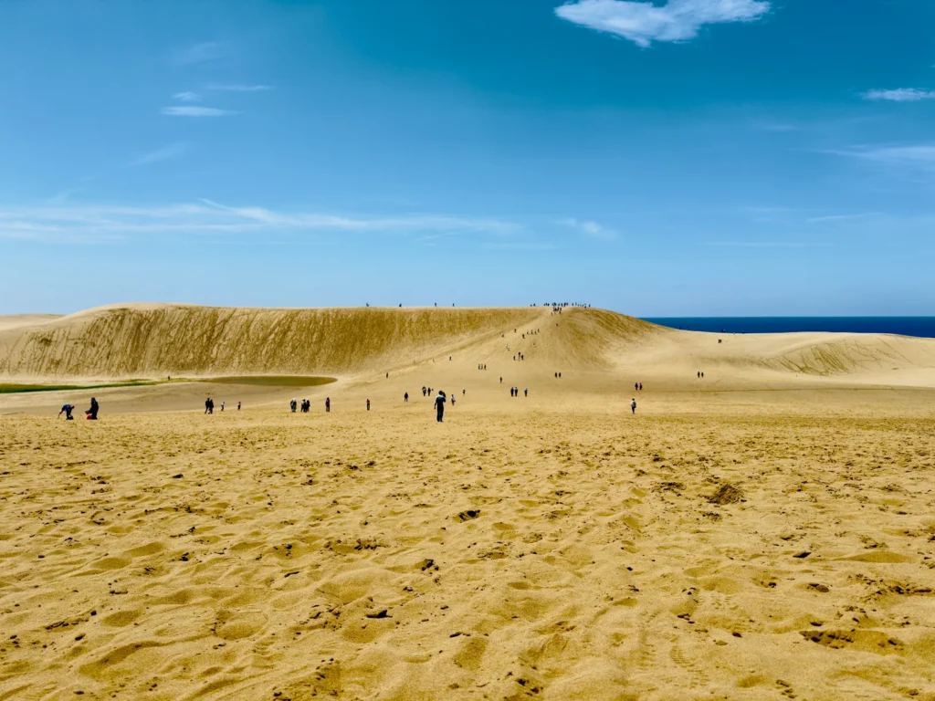 dunes
