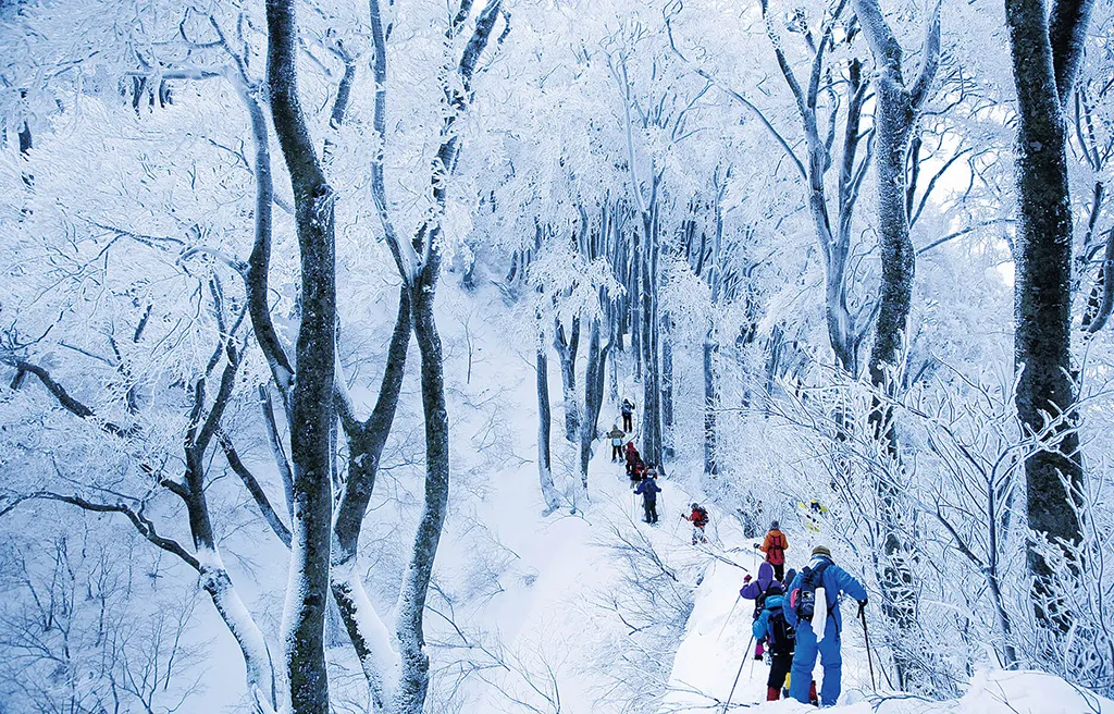 hyonosen