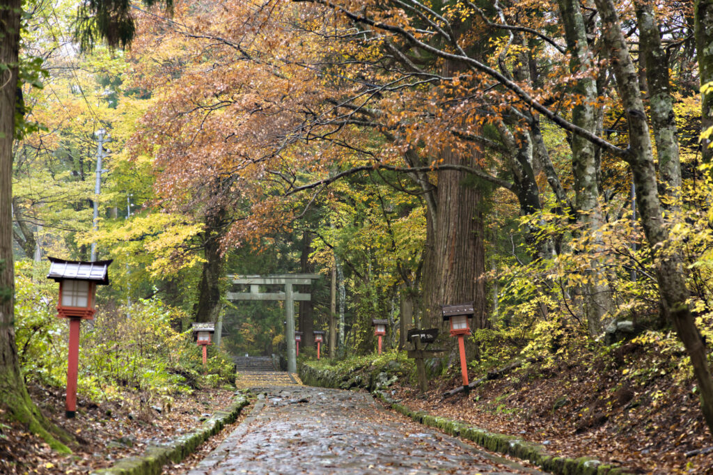 Musée ecologique du Mont Daisen